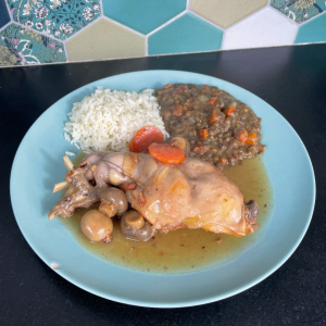 lapin-ninja-foodi-max